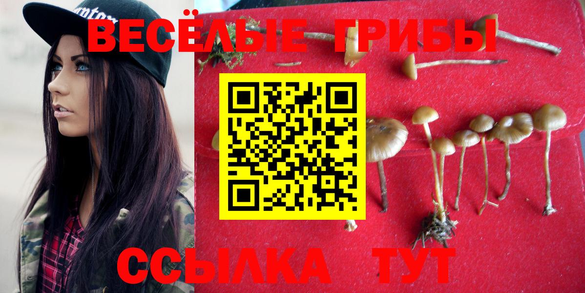 Псилоцибиновые грибы мицелий Пенза