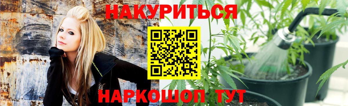 МАРИХУАНА план Пенза